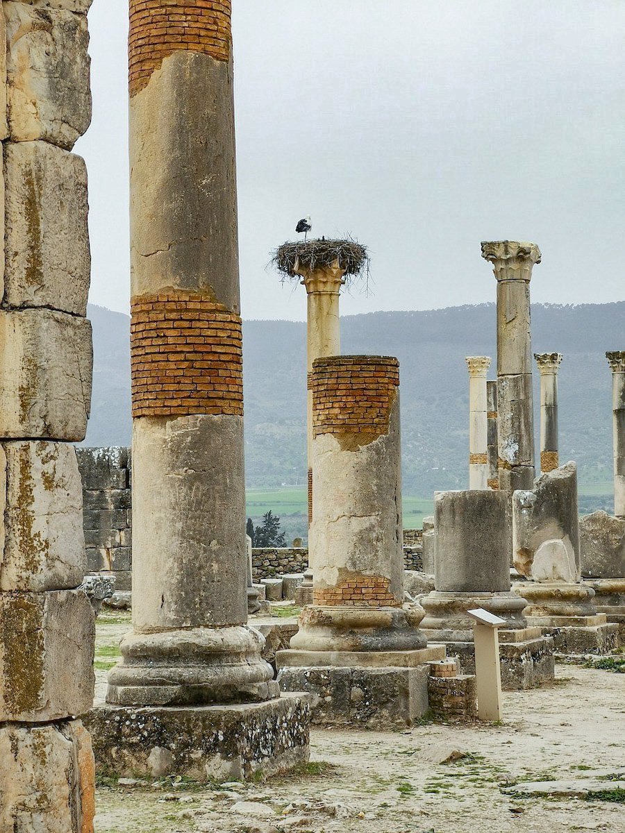 The Roman ruins of Volubilis near Meknes and Moulay Idriss Zerhourn in the north of Morocco.