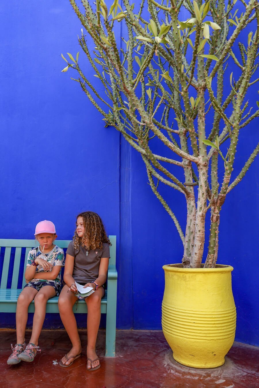 Two kids sit on a bench chair in front of the beautiful blue painted walls and cacti in the Majorelle Gardens 