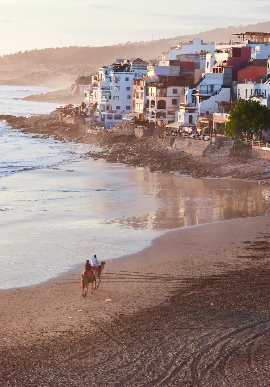 Taghazout beach - Two camels walk down the beach at sunset.