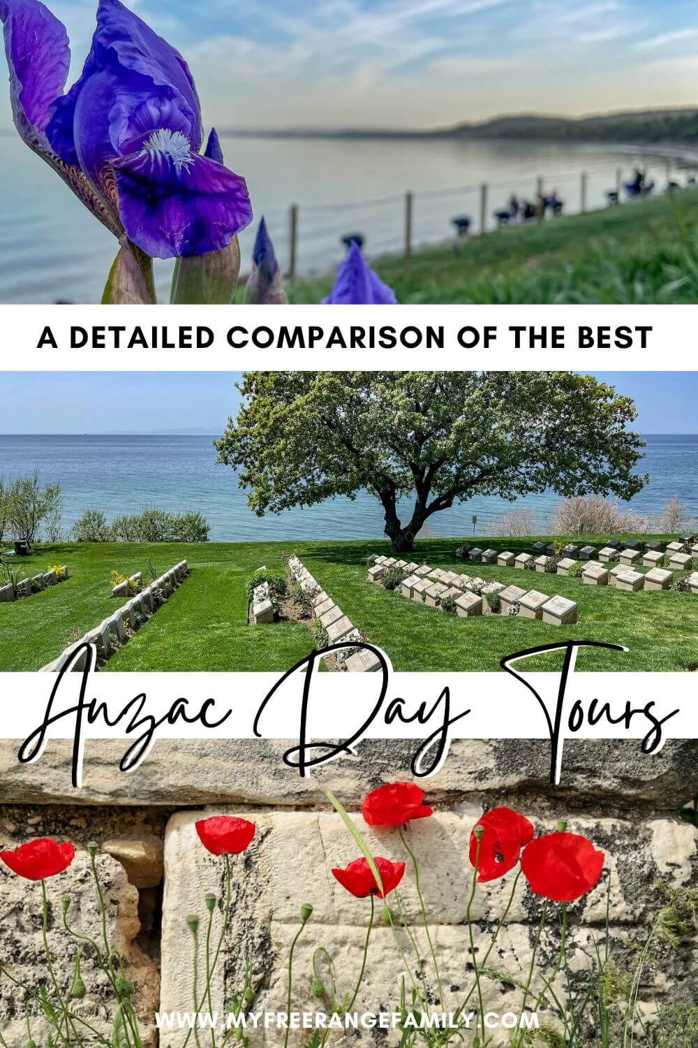 An image designed to encourage readers to save this guide on Anzac Day Tours