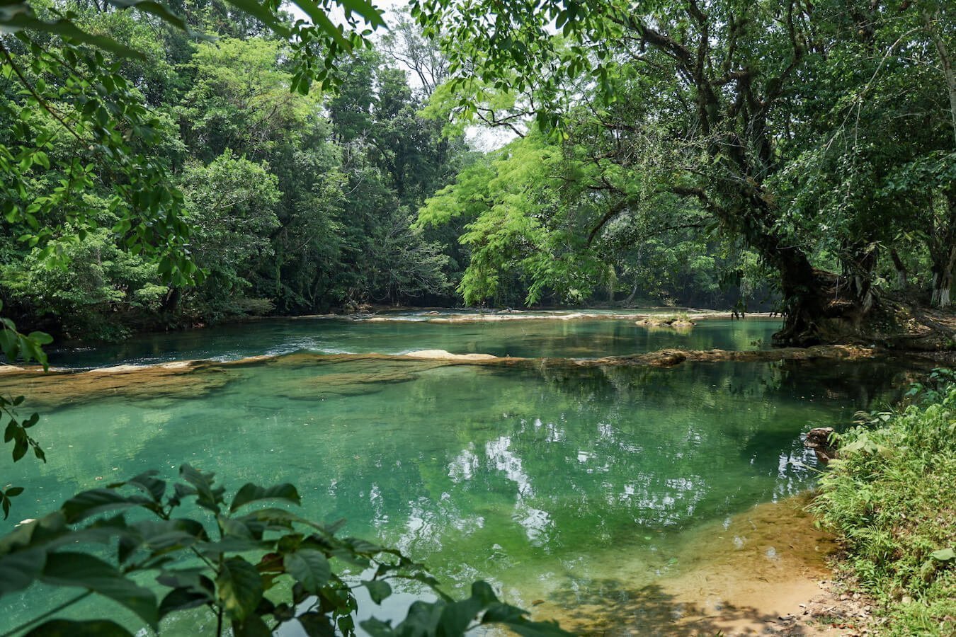Several small, calm, natural swimming holes, surrounded by jungle, at Agua Azul in Palenque. 