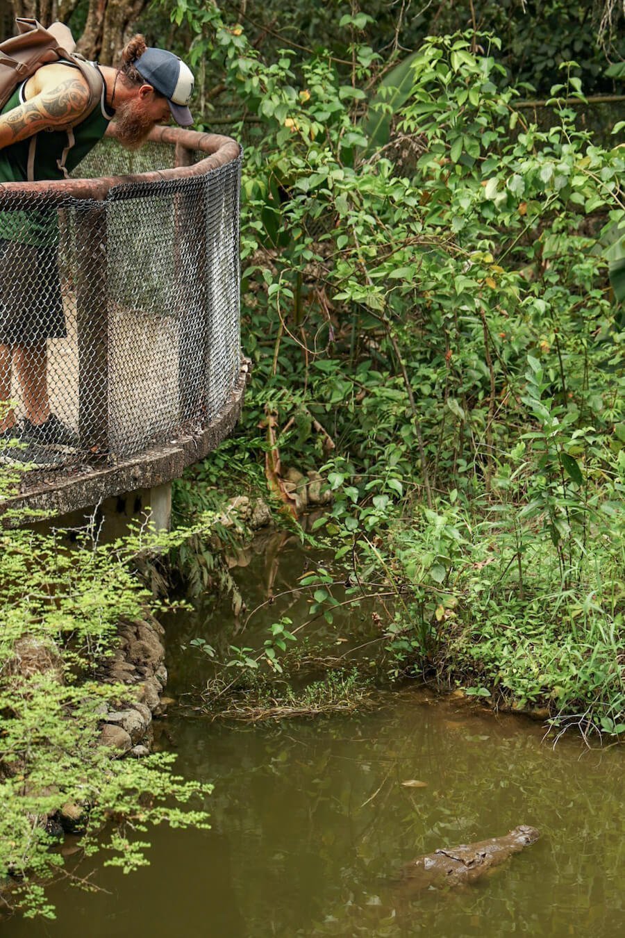A man standing on a viewing platform, looking over at a crocodile in the water below, in Aluxes Ecopark.