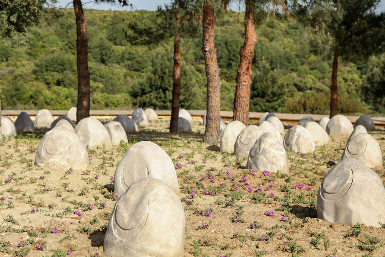 Turkish memorials stones in Gallipoli