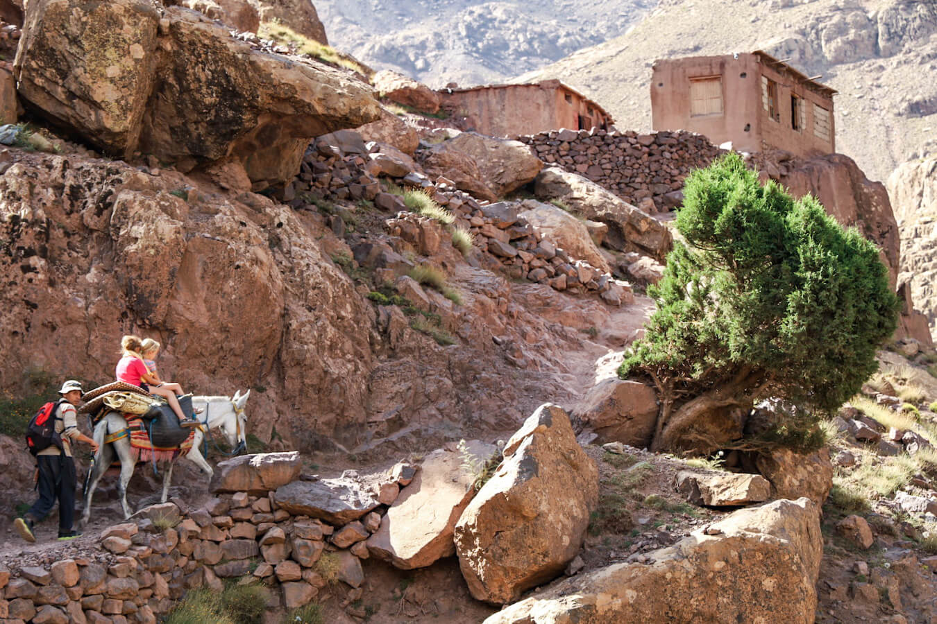 Kids ride a mule in the Atlas Mountain range in Morocco on a guided tour