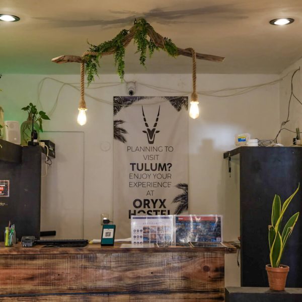 The reception of the Best Hostel in Valladolid with boho design - the Oryx Hostel.