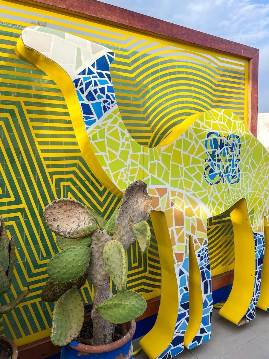 The bright yellow camel at Taros in Essaouira