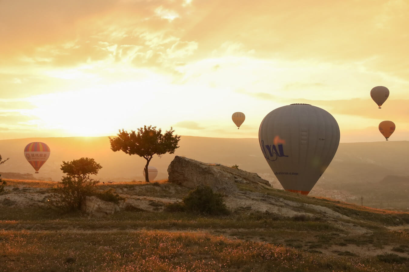 Hot air balloons come in to land at sunrise against a golden sky in Cappadocia.