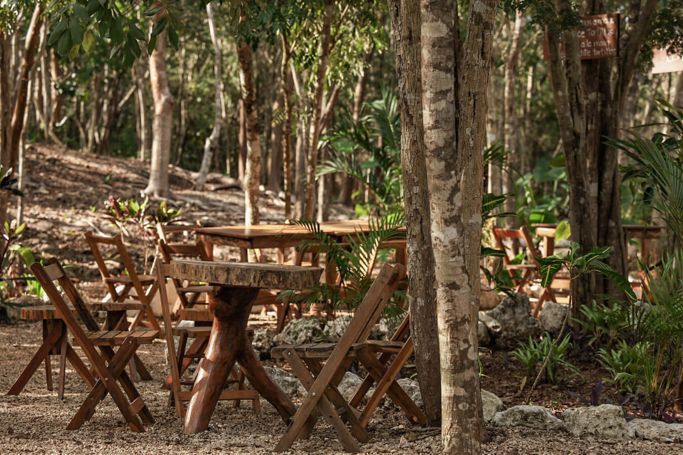 Restaurant tables and chairs among the trees.