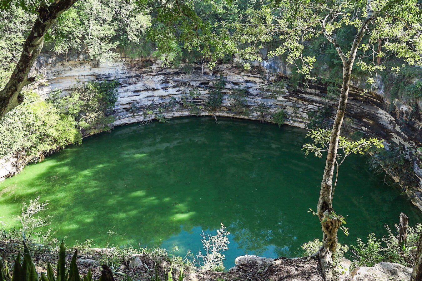 The Sacred Cenote at Chichén Itzá.  Our self-guided tour helps visitors understand this impressive structure without an organised group tour 