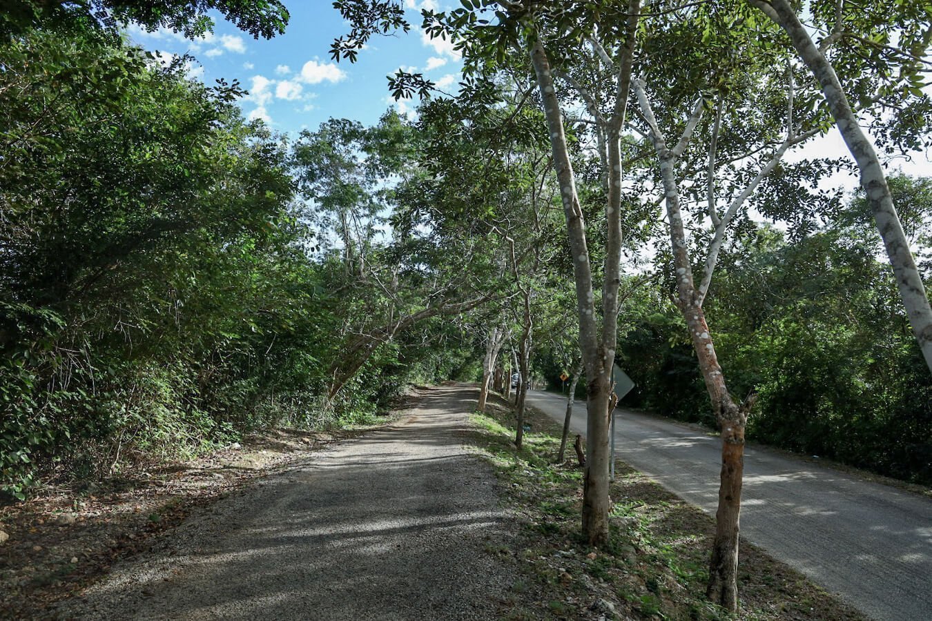 The bike track beside the road in Valladolid towards the cenotes.