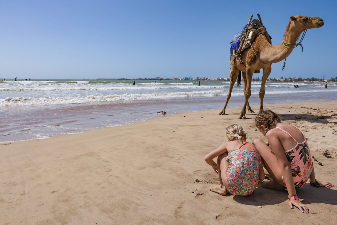 Kids sit in front of a camel at one of the best beaches in Essaouira - a travel guide