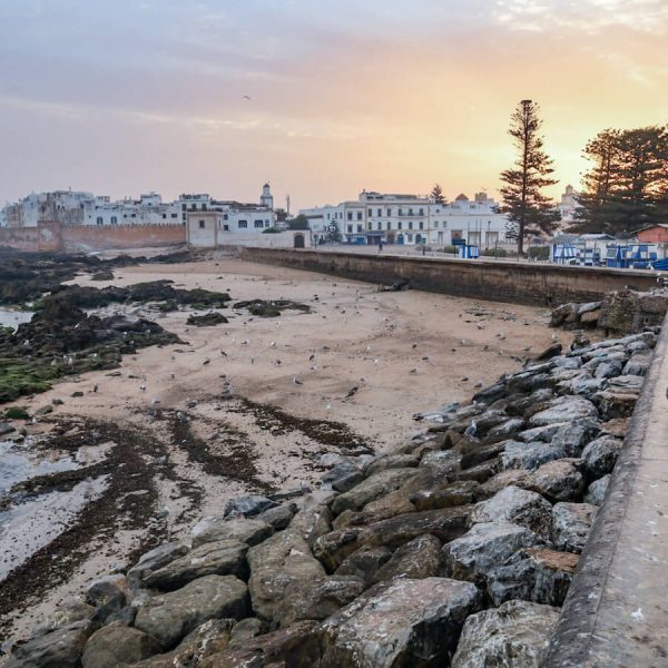 Essaouira at sunrise, the seagulls gather on the rampart walls - a travel guide