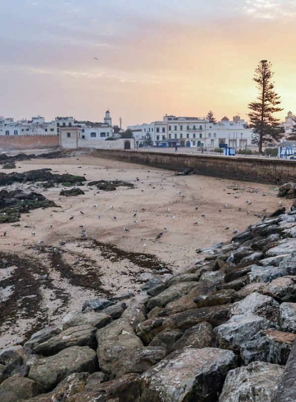 Your Essential Travel Guide to Essaouira: Everything from A to Z!