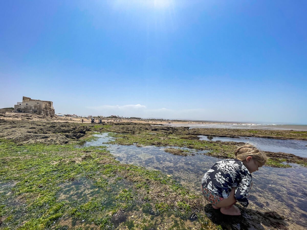 A child plays in rock pools on a day trip to Sidi Kaouki while on holiday.