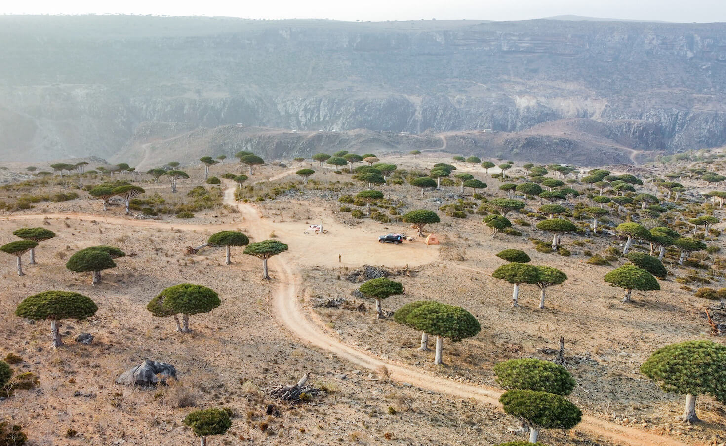 Tourist campsite in Firmin among the dragon blood trees in Socotra Island