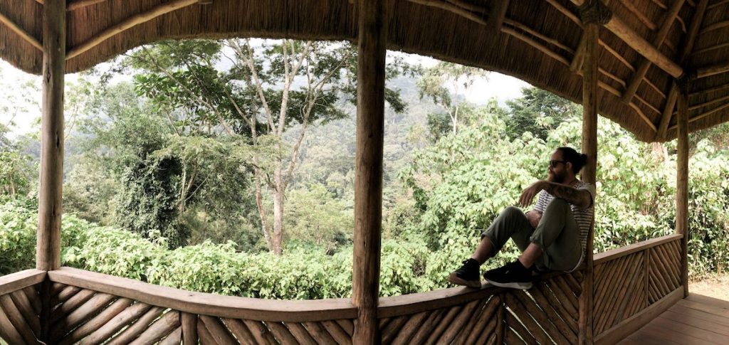 Volcanoes Safaris - Bwindi lodge - gorilla trekking