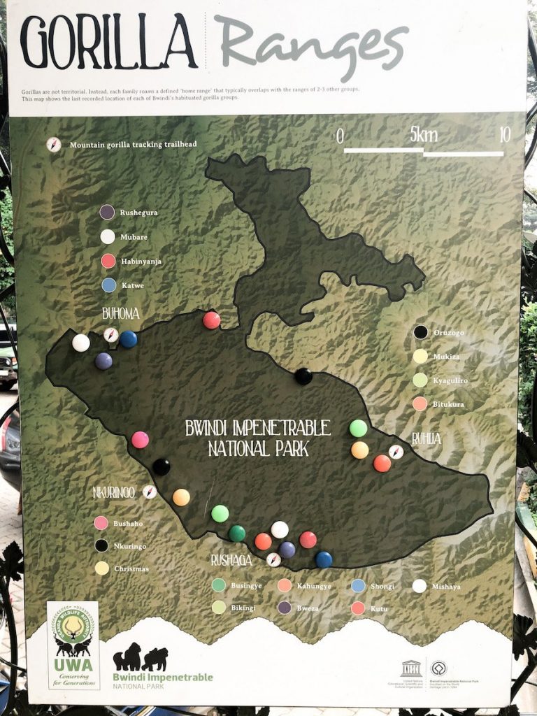 Bwindi Impenetrable National Park - the gorilla families