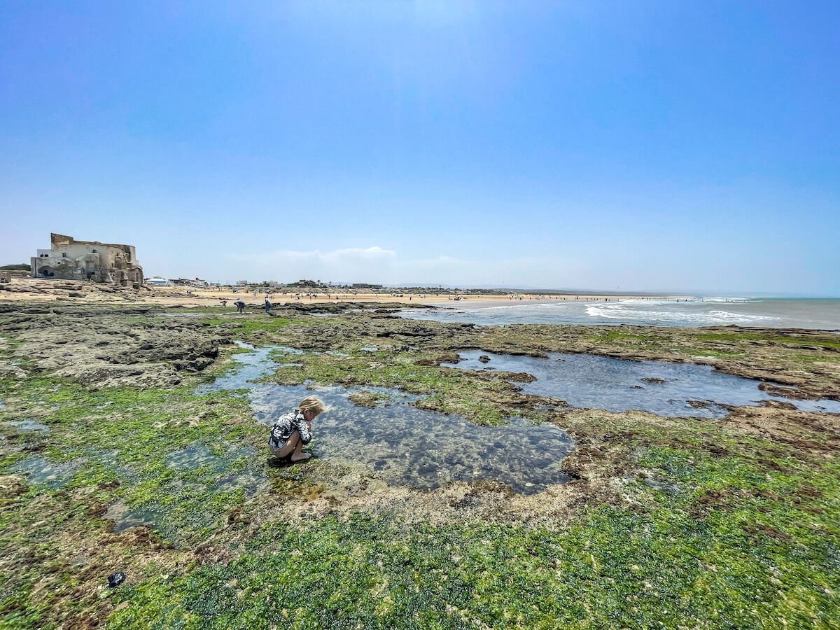 A child plays in the rock pools of Sidi Kaouki beach near Essaouira