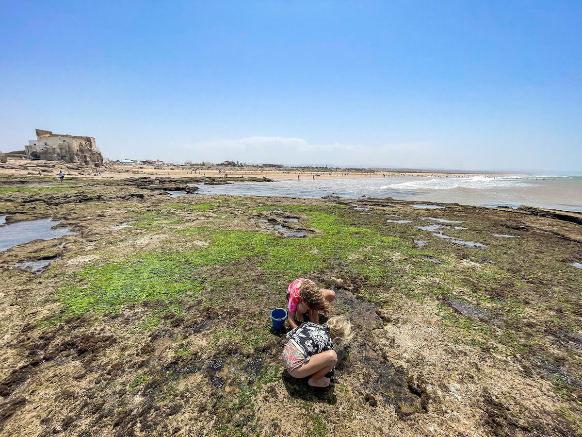 The Sidi Kaouki beach and kids 