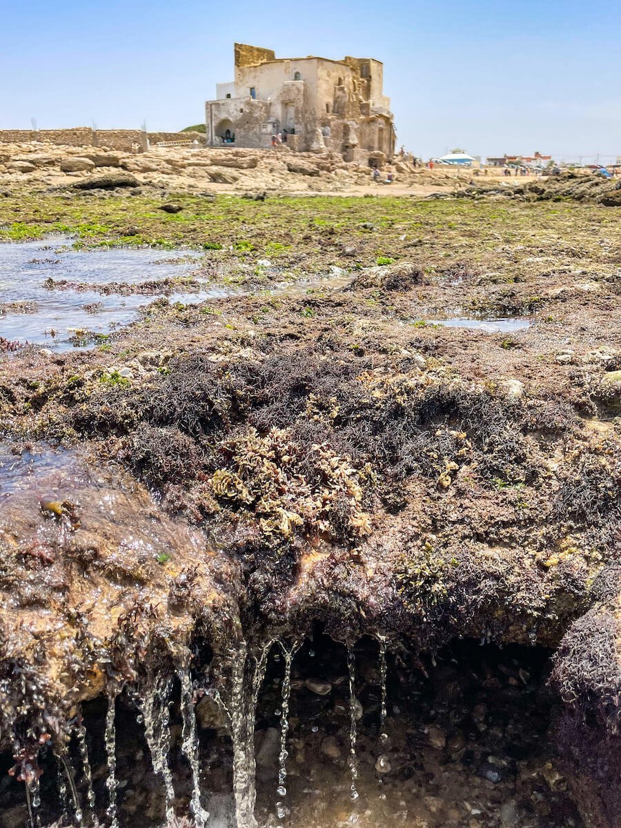 The Sidi Kaouki shrine and beach
