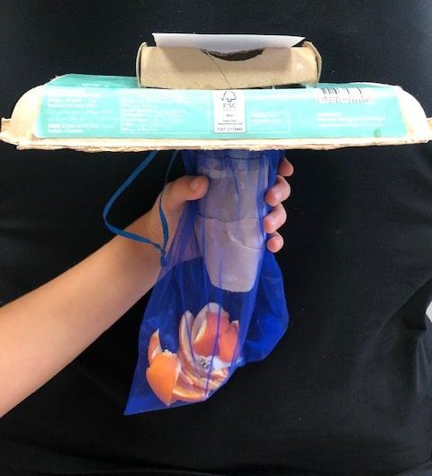 cheap curriculum ideas for homeschool