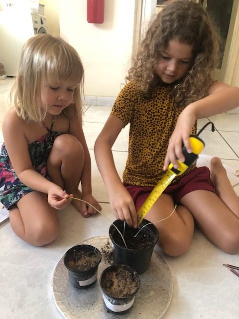 covering all curriculum content