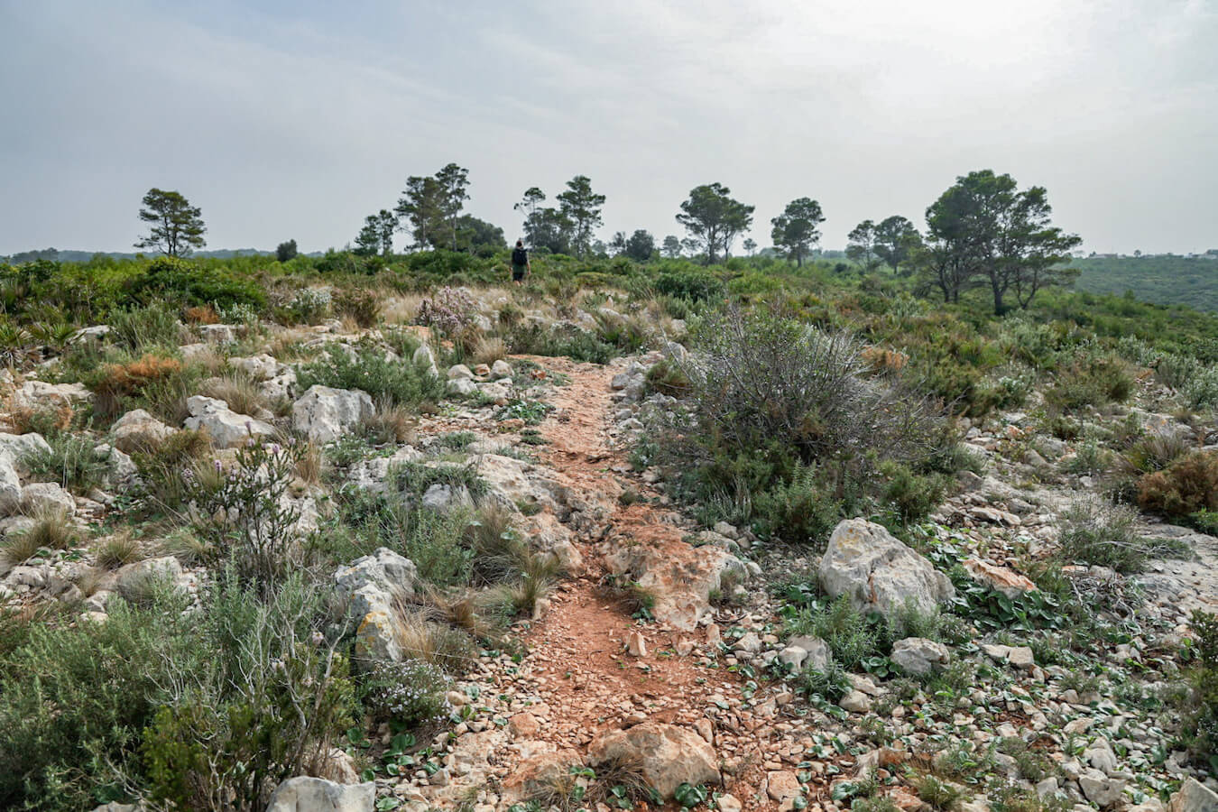 Hiking on a trail in Cap Sant Antoni.
