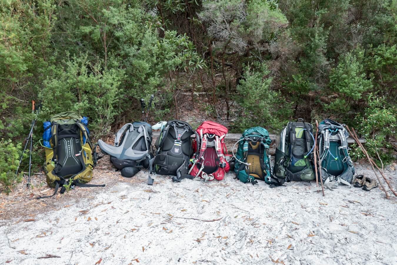 Hikers backpacks lined in a row on the K'gari Great Walk (Fraser Island)