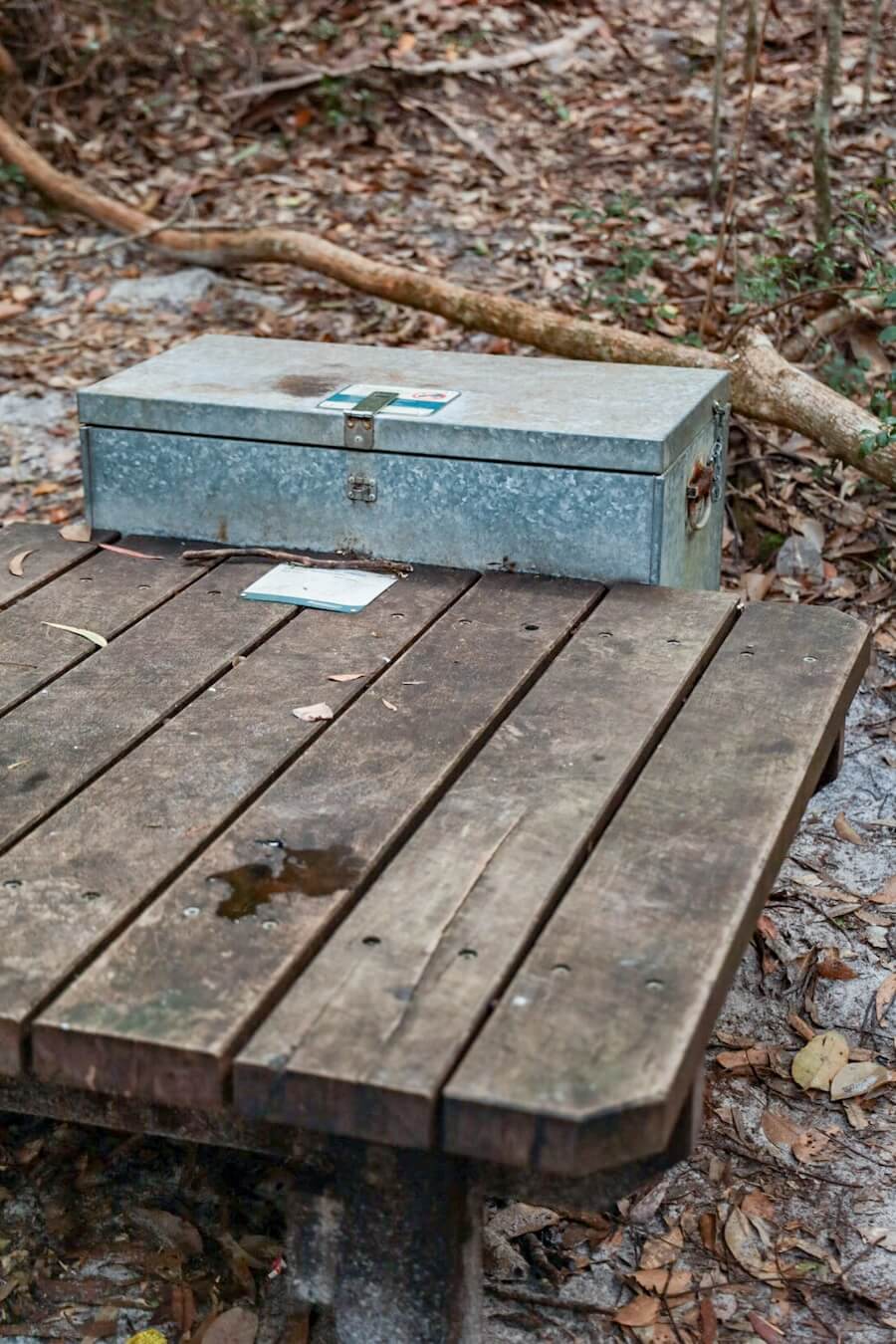 The dingo proof storage boxes at the K'gari Great Walk (Fraser Island) campsites.