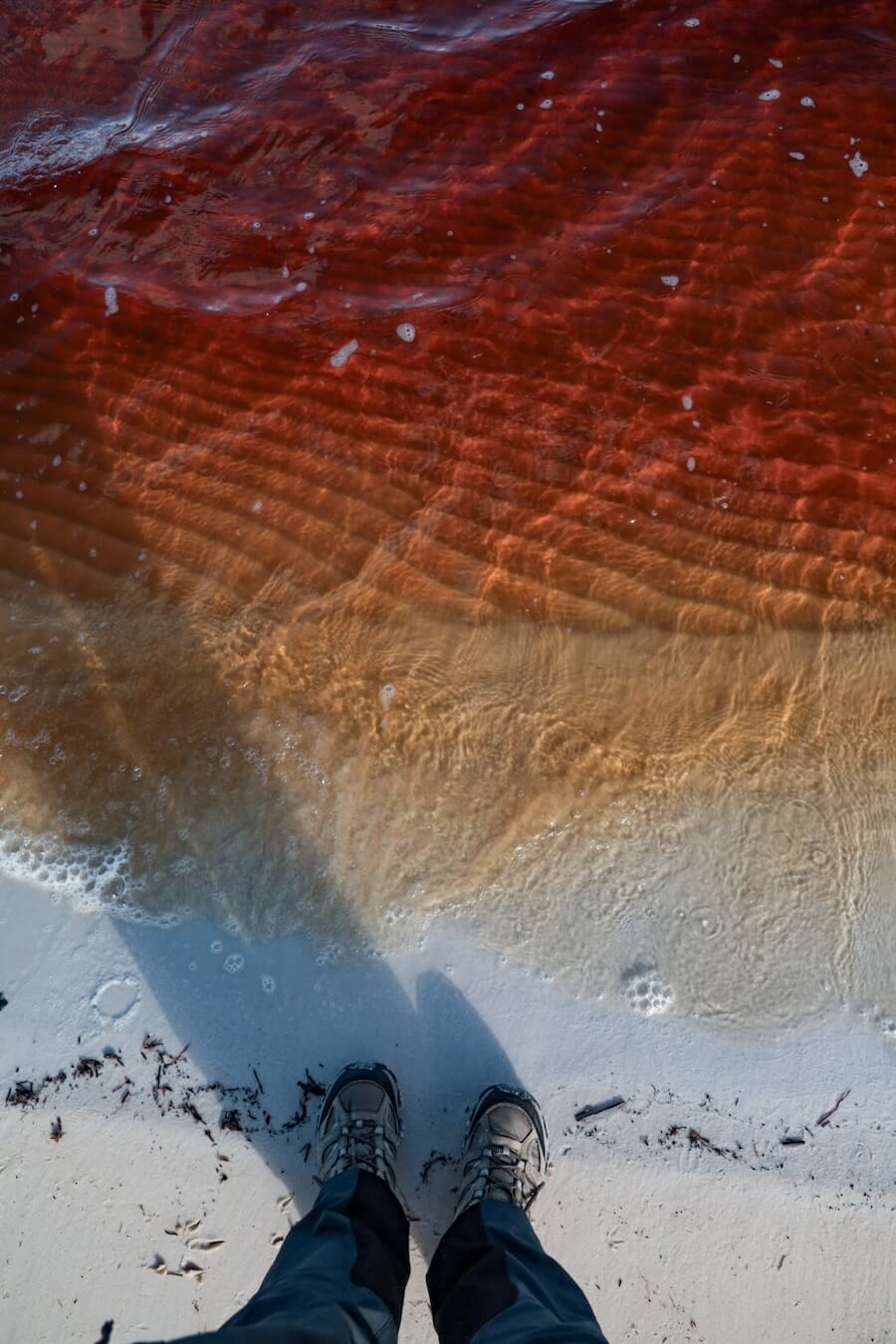 A hiker's feet standing beside the red lake, Boomanjin Lake stained red by the tea tree.