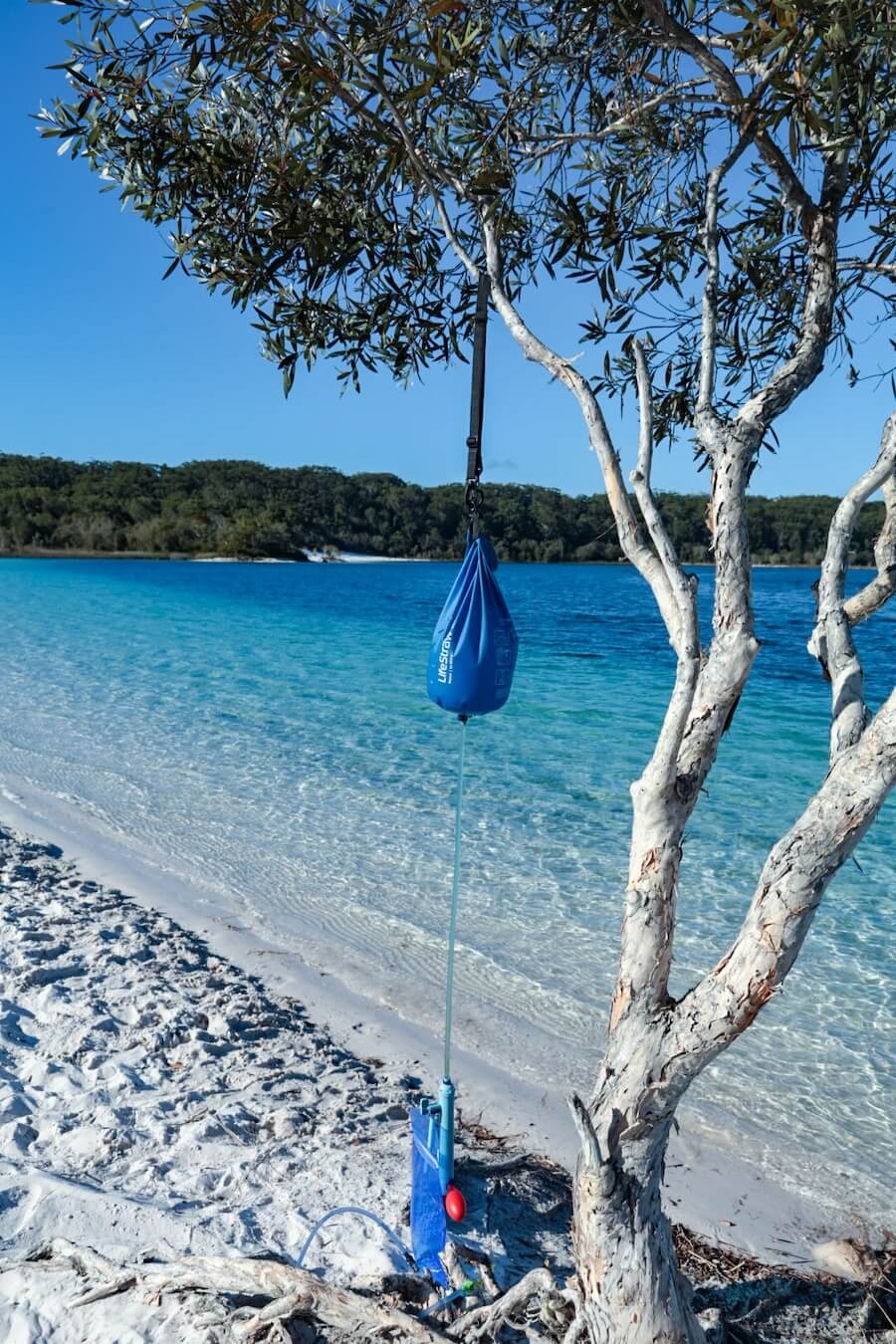 A hiker's water filter hangs from a tree beside Lake McKenzie on K'gari (Fraser Island)