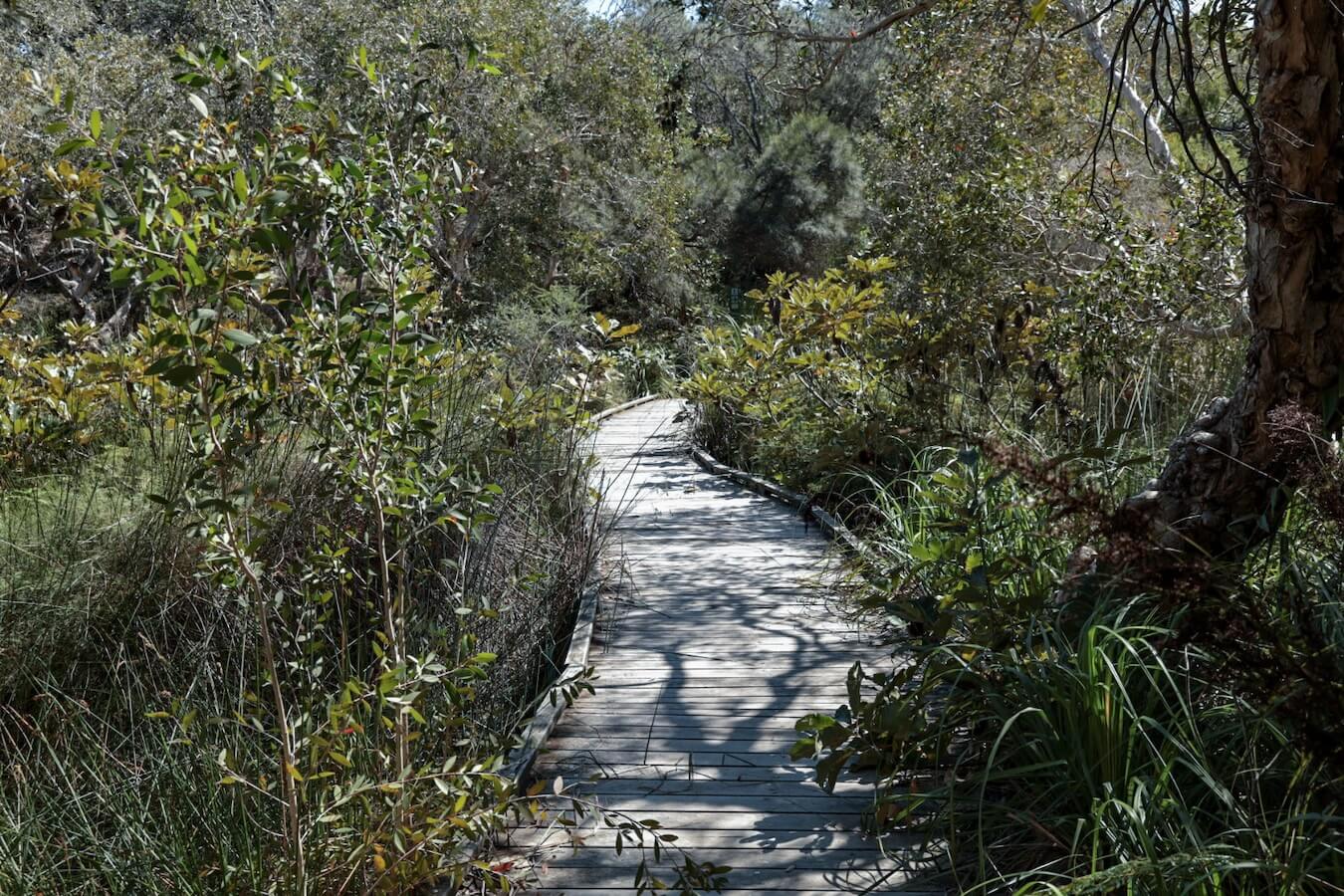 The path at Dilli Village leading towards the Great Walk