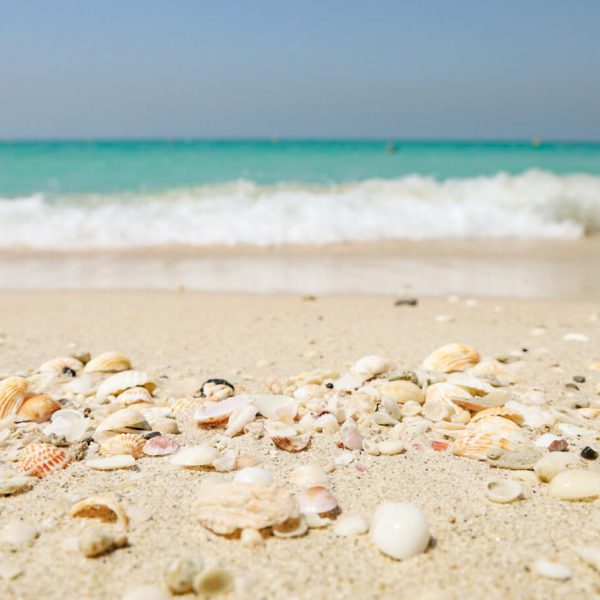 The Ultimate FREE Beach Guide to Dubai