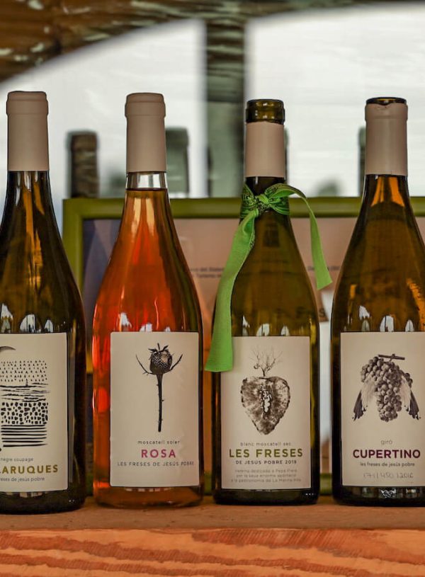 Wine Tasting Javea: A Review of Les Freses Vineyard & Winery