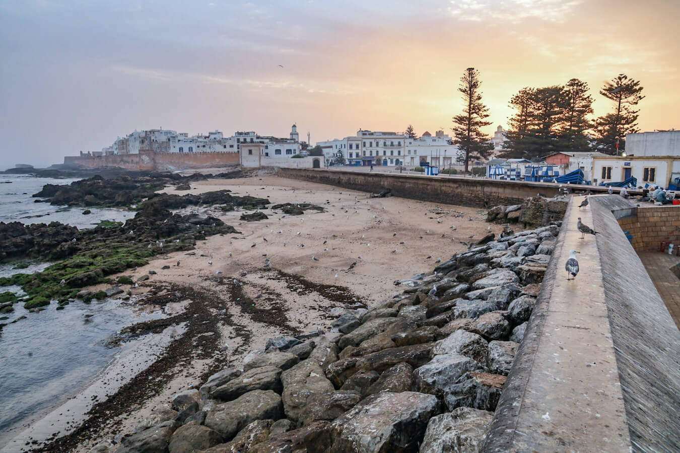 Sunrise over Essaouira from the fishing port.