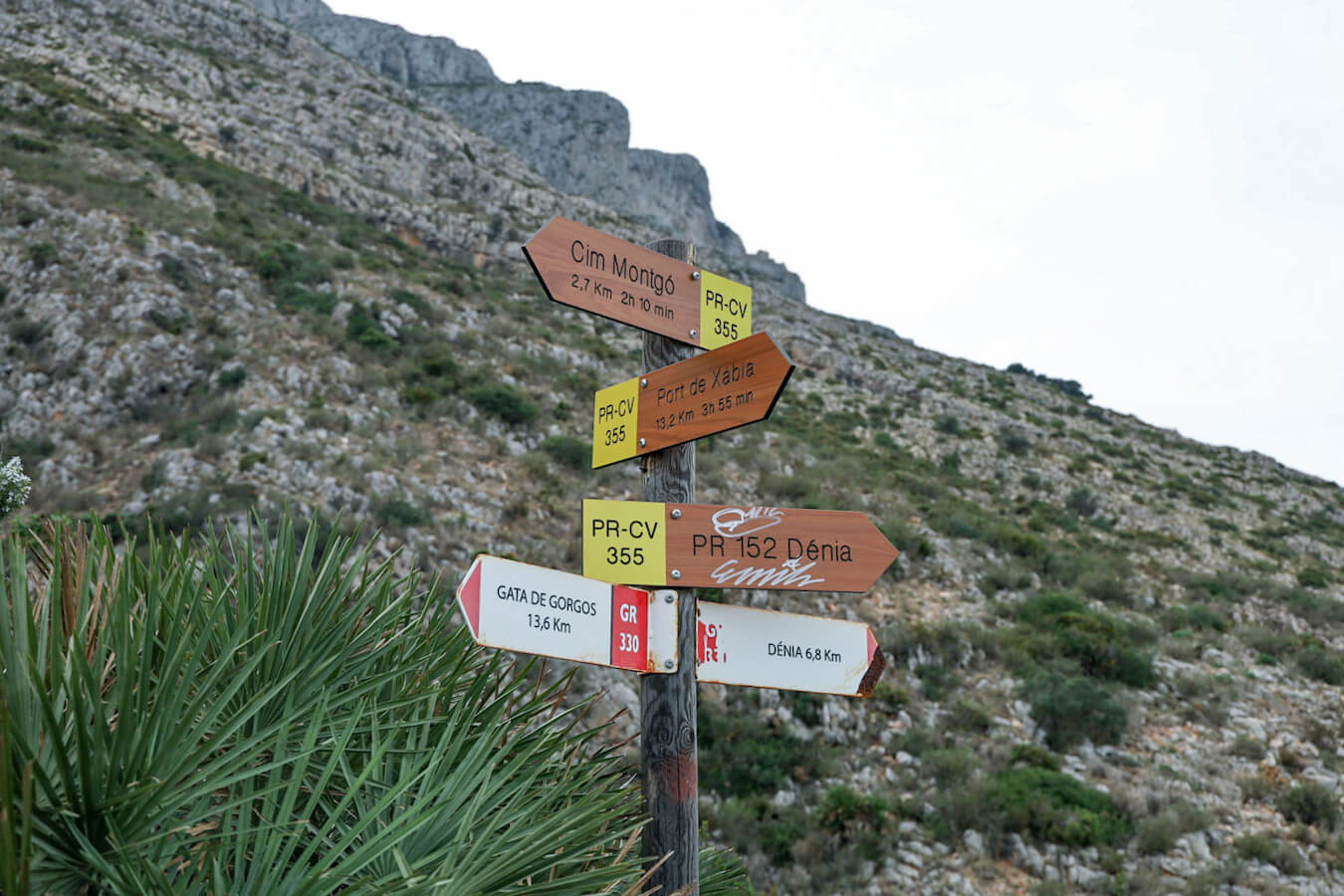A signpost marking different trail options