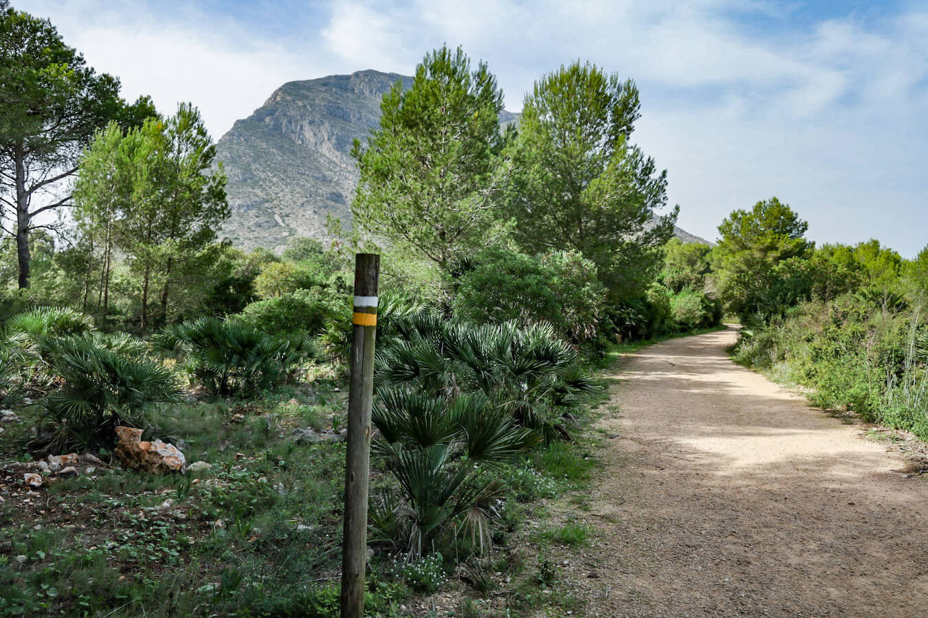 The PR CV 355 trail with yellow and white marker leading towards the Montgo hiking trail