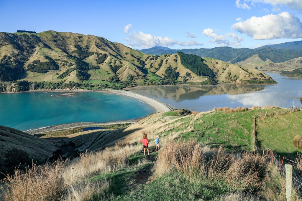 Cable Bay - Nelson day trips 