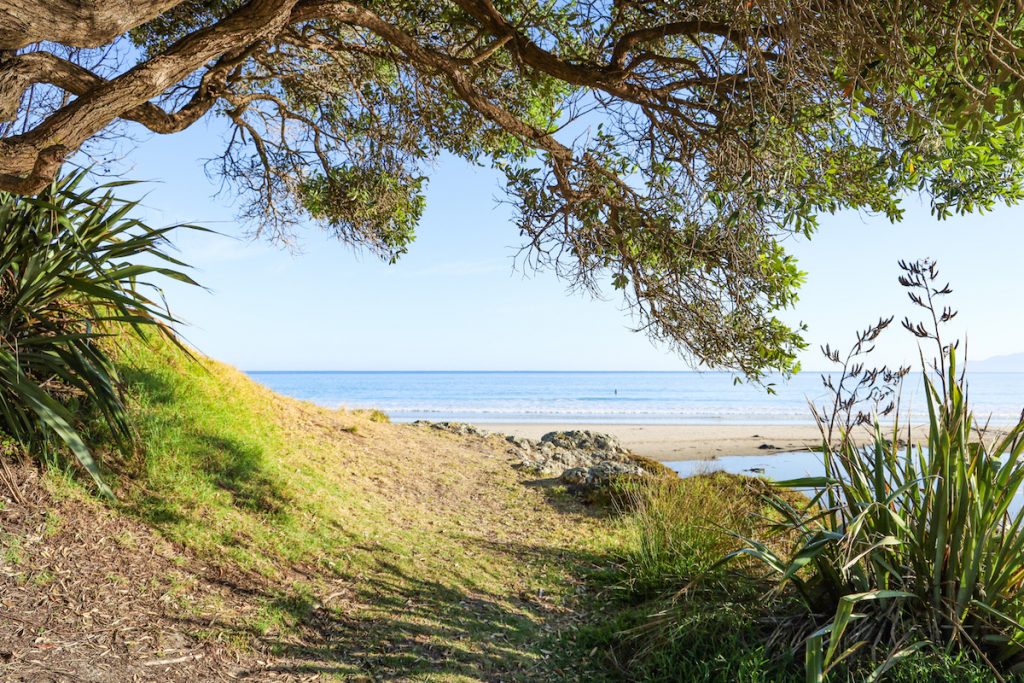 Best places to visit in the North Island, New Zealand - Tawharanui