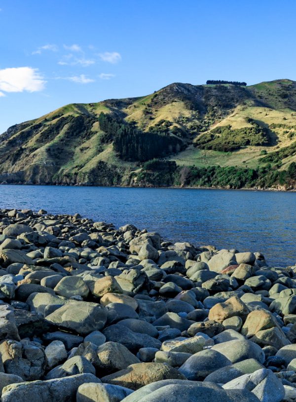 Day Trips in and Around Nelson – That Won’t Break the Bank!