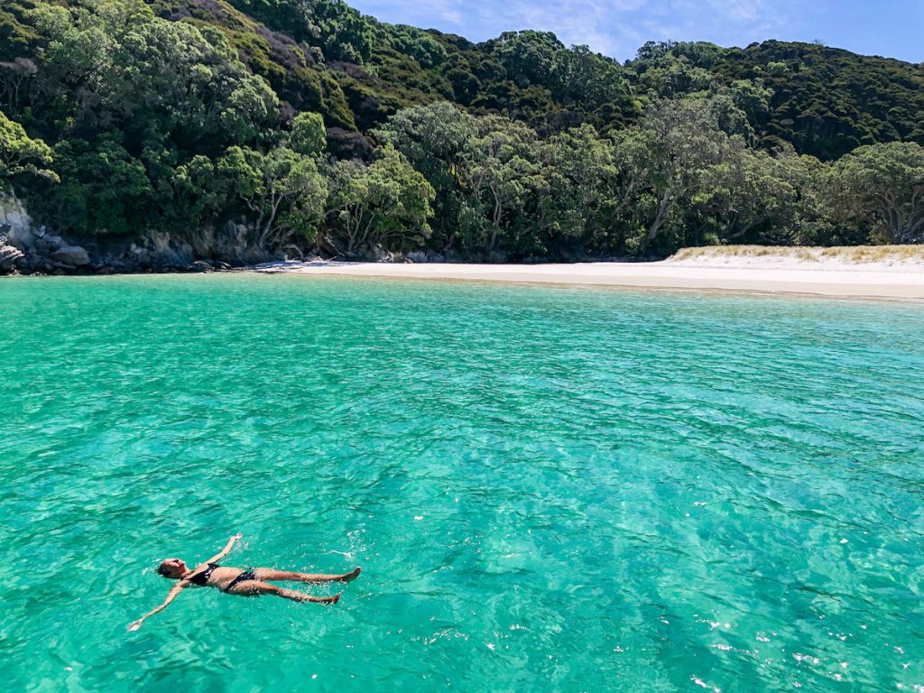 Great Mercury Island, floating in Peach Grove Bay - Coromandel Attractions