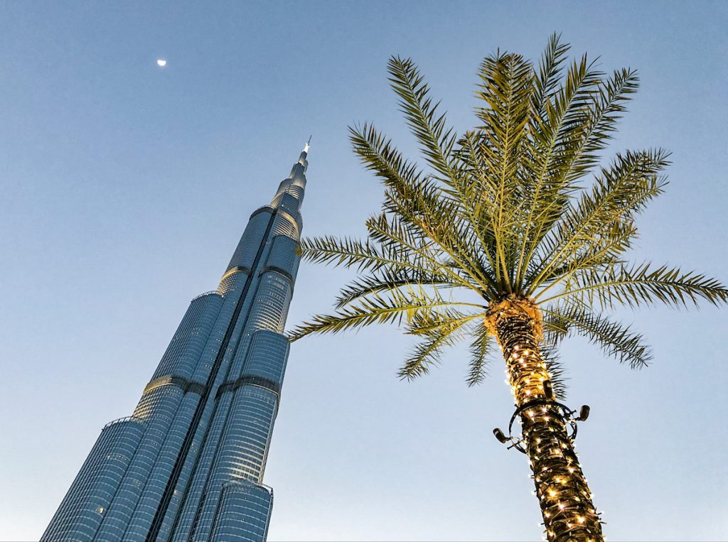 The Burj Khalifa and date palm.  This is downtown and a popular place to stay in Dubai for visitors