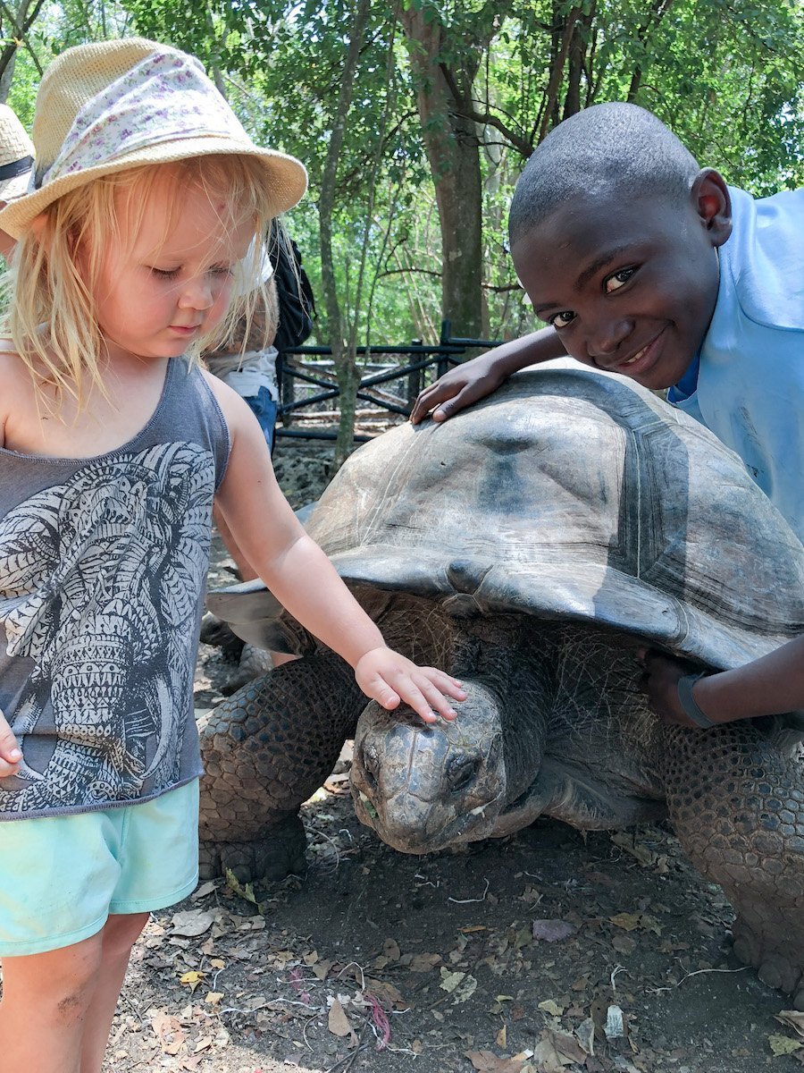 Prison or Changuu island tour of the tortoise sanctuary.