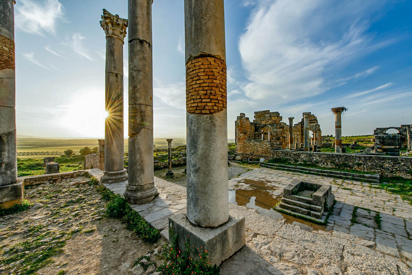 The impressive columns and Roman ruins in Volubilis in Morocco. A unique destination to visit on a Morocco travel itinerary.