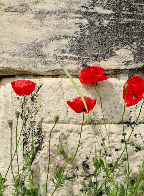 How to Visit ANZAC Cove & Gallipoli in Turkey