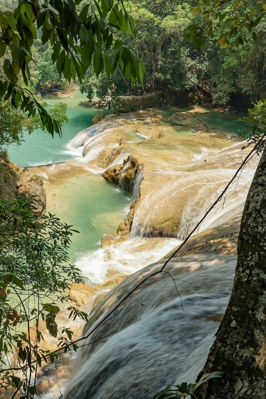 A view from the forest, looking down and across one section of cascades. 