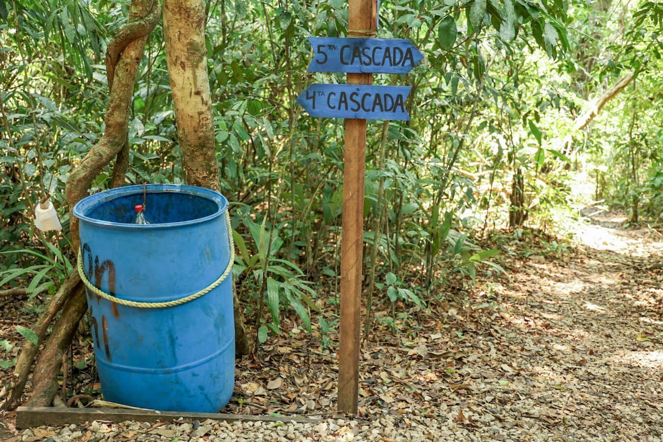 A sign and rubbish bin on the forest walk around Roberto Barrios Cascades, Palenque.