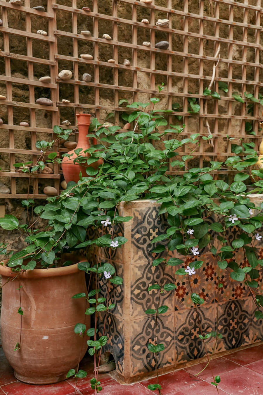 A terracotta plant and tiled garden with green plant grows in the outdoor courtyard at Ryad Watier.
