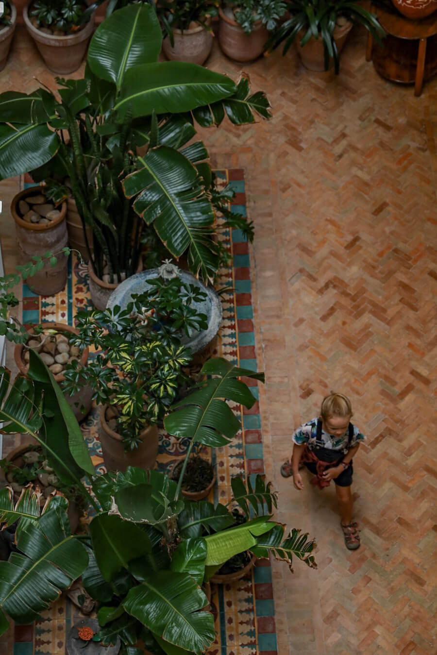 A child walks through the riad at Ryad Watier in Essaouira Morocco