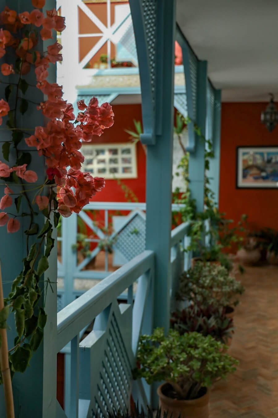 Bougainvillea climbs the terrace of the beautiful Ryad Watier in Essaouira.
